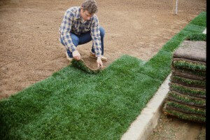 Sod Installation Tips Lay Sod Immediately