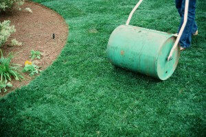 Sod Installation Roll Sod