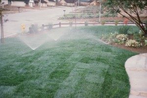 Sod Installation Water Lawn